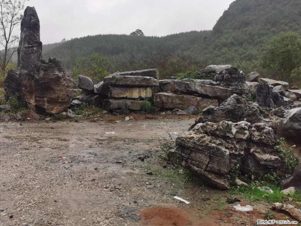 风景石、假山石大量有货，有需要的欢迎联系 - 新手上路 - 贵港生活社区 - 贵港28生活网 gg.28life.net