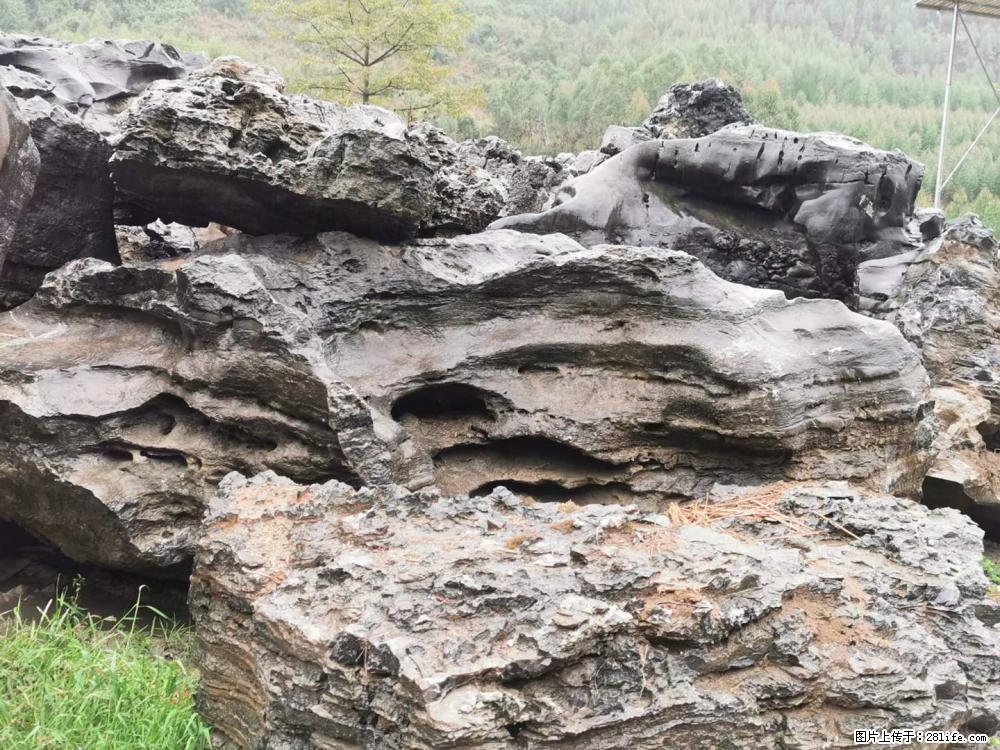 风景石、假山石大量有货，有需要的欢迎联系 - 新手上路 - 贵港生活社区 - 贵港28生活网 gg.28life.net