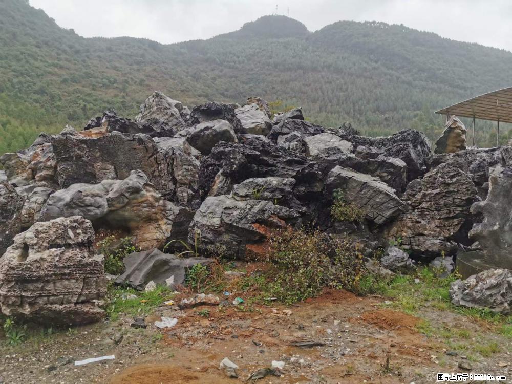 风景石、假山石大量有货，有需要的欢迎联系 - 新手上路 - 贵港生活社区 - 贵港28生活网 gg.28life.net