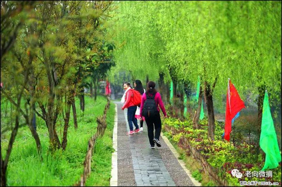 【春天，广西桂林灌阳县向您发出邀请！】江口老街又逢春 - 游山玩水 - 贵港生活社区 - 贵港28生活网 gg.28life.net
