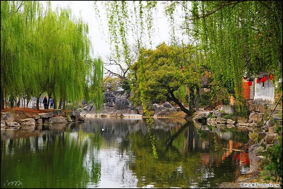 【春天，广西桂林灌阳县向您发出邀请！】江口老街又逢春 - 游山玩水 - 贵港生活社区 - 贵港28生活网 gg.28life.net