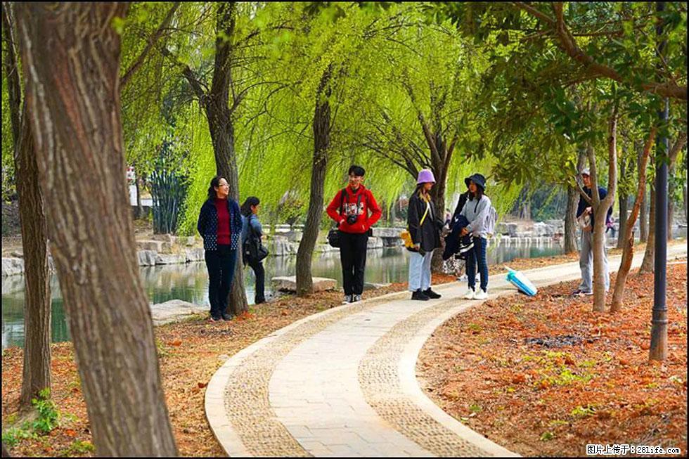 【春天，广西桂林灌阳县向您发出邀请！】江口老街又逢春 - 游山玩水 - 贵港生活社区 - 贵港28生活网 gg.28life.net