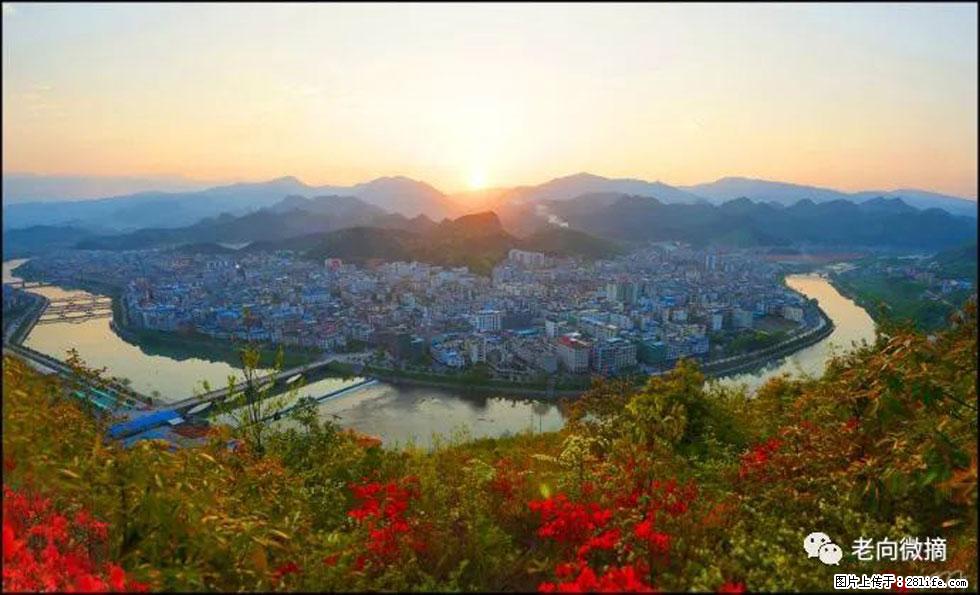 【春天，广西桂林灌阳县向您发出邀请！】登麒麟山，相约映山红 - 游山玩水 - 贵港生活社区 - 贵港28生活网 gg.28life.net