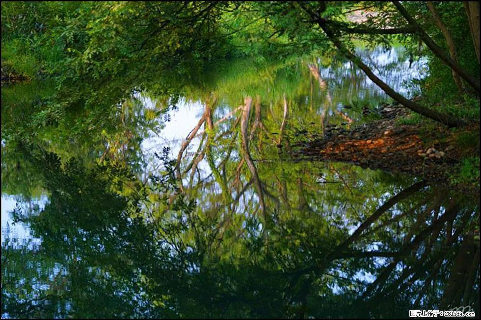 【春天，广西桂林灌阳县向您发出邀请！】熊家寨湿地公园 - 游山玩水 - 贵港生活社区 - 贵港28生活网 gg.28life.net