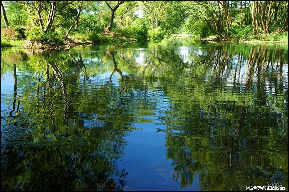 【春天，广西桂林灌阳县向您发出邀请！】熊家寨湿地公园 - 游山玩水 - 贵港生活社区 - 贵港28生活网 gg.28life.net