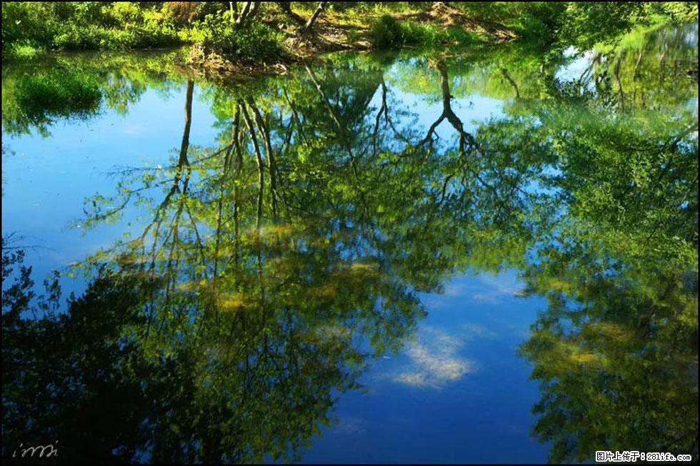 【春天，广西桂林灌阳县向您发出邀请！】熊家寨湿地公园 - 游山玩水 - 贵港生活社区 - 贵港28生活网 gg.28life.net