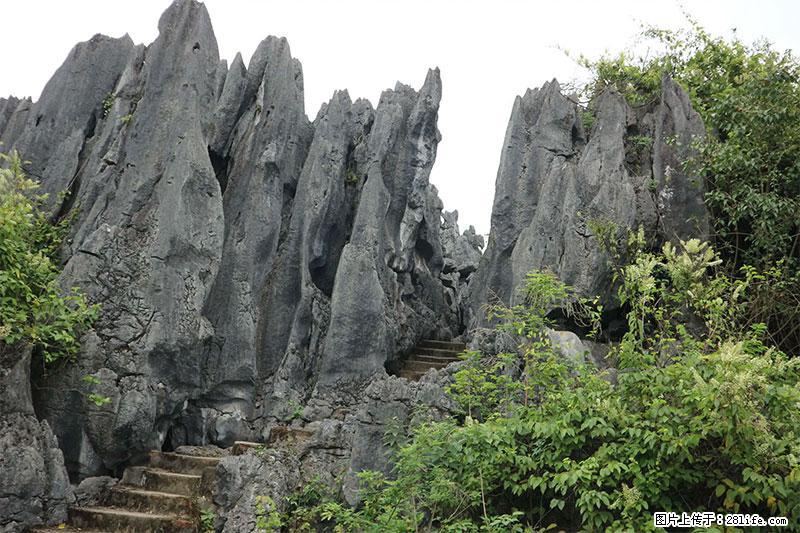 桂林旅游名城景点:灌阳文市石林 - 游山玩水 - 贵港生活社区 - 贵港28生活网 gg.28life.net