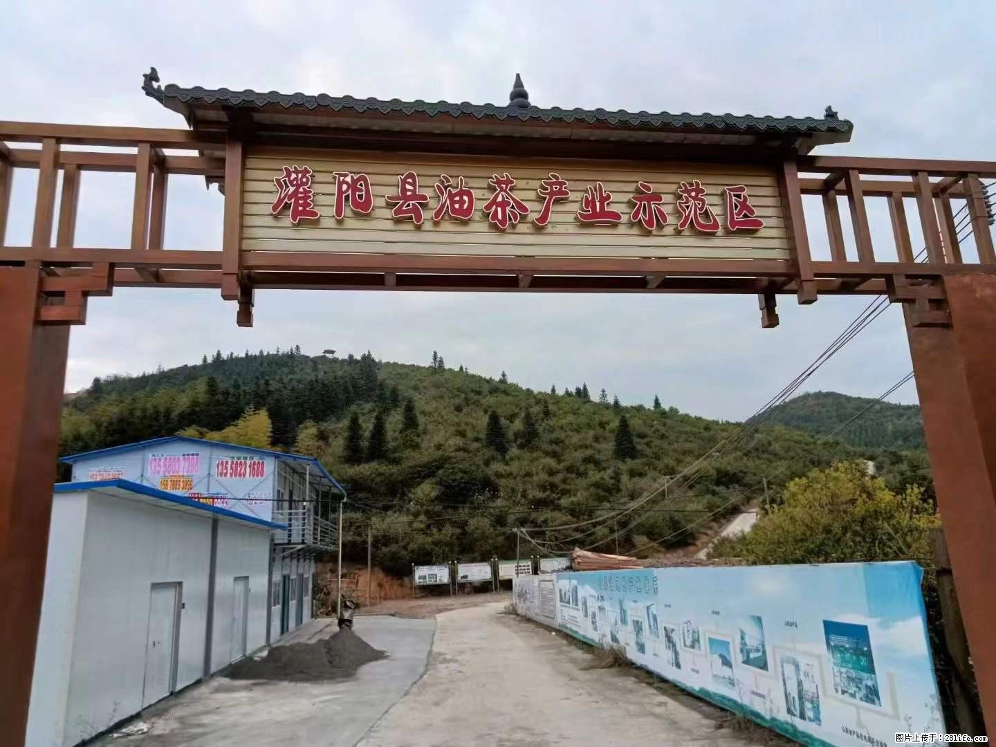 【灌阳县油茶产业示范区】一个有着充实的精神生活的人，对待身外之物自会有一种淡泊的态度 - 土特产 - 饮食特产 - 贵港分类信息 - 贵港28生活网 gg.28life.net