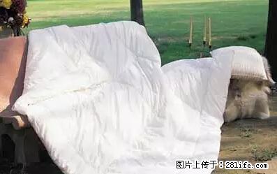 被子有异味？只要这样做，比晒太阳还强100倍！ - 家居生活 - 贵港生活社区 - 贵港28生活网 gg.28life.net