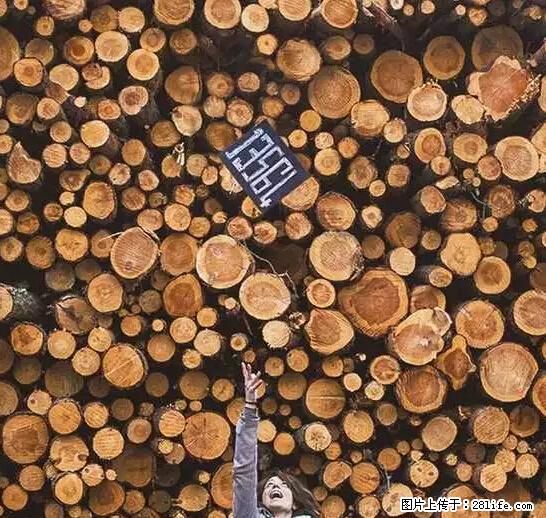 辞掉工作周游世界？现在他们在洗厕所…… - 游山玩水 - 贵港生活社区 - 贵港28生活网 gg.28life.net