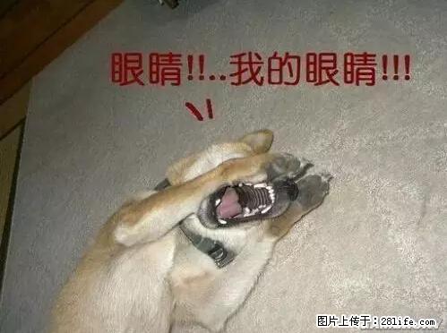 笑癫了！一女的怀孕三年未生，他终于忍不住了... - 娱乐八卦 - 贵港生活社区 - 贵港28生活网 gg.28life.net