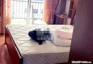天悦华庭 3室2厅2卫 - 贵港28生活网 gg.28life.net