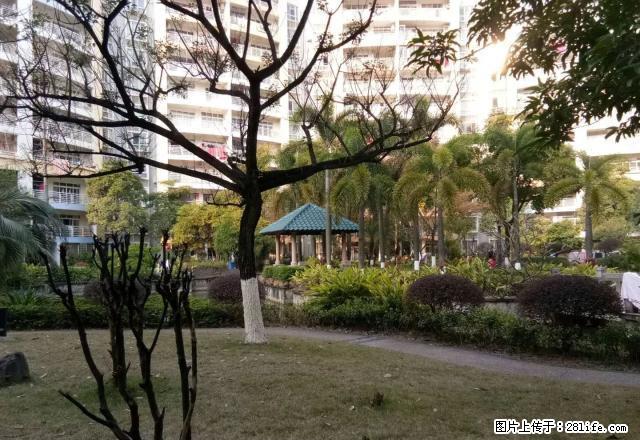 盛世名门3房出租，全新木地板，拎包即可入住 - 房屋出租 - 房屋租售 - 贵港分类信息 - 贵港28生活网 gg.28life.net