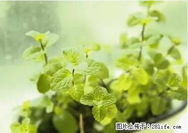 晕车、脚气、牙齿变黄、皮肤粗糙？学会这些三分钟搞定！ - 贵港生活资讯 - 贵港28生活网 gg.28life.net