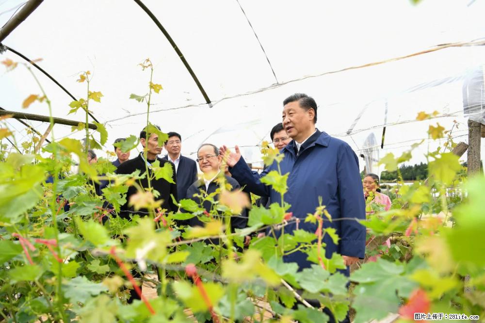 习近平赴广西考察调研 - 贵港生活资讯 - 贵港28生活网 gg.28life.net