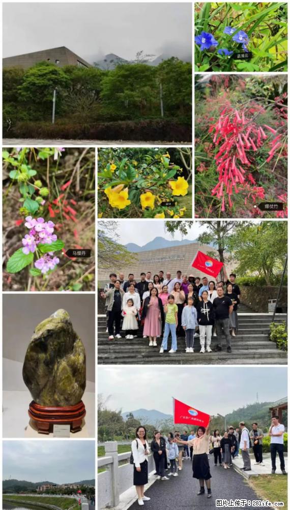 “粤灌文化 美好生活”油茶文化主题活动在广东深圳成功举办 - 贵港生活资讯 - 贵港28生活网 gg.28life.net