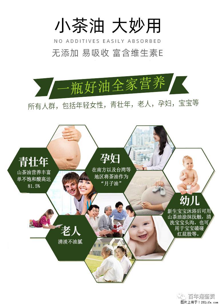 世界没有真相，只有认知，最好的食用油是中国的山茶油！ - 贵港生活资讯 - 贵港28生活网 gg.28life.net
