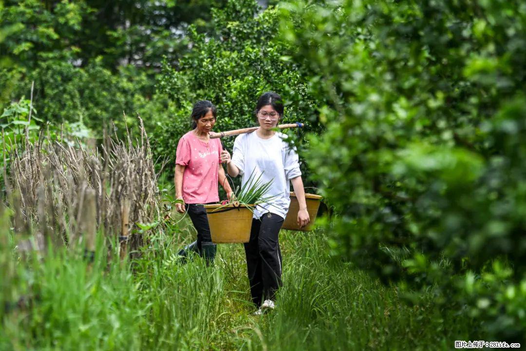 全网追的“扁担女孩”，找了一份暑假工，时薪12元 - 贵港生活资讯 - 贵港28生活网 gg.28life.net