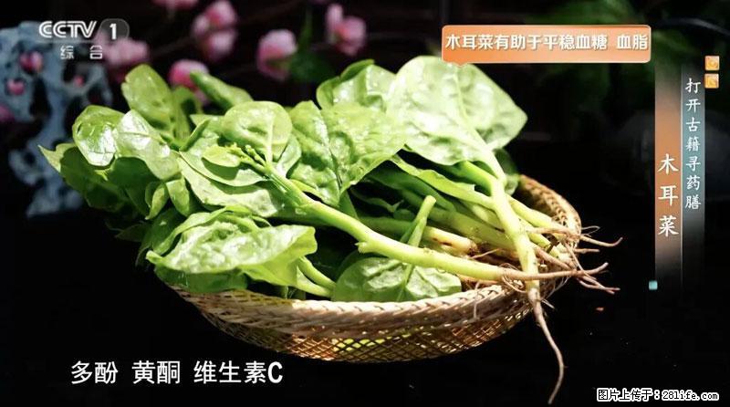 比牛奶补钙还厉害！凉血解毒、稳血糖...这菜冬天必吃，很多人却当草 - 贵港生活资讯 - 贵港28生活网 gg.28life.net