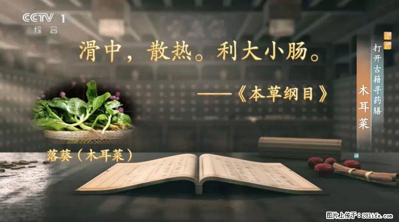 比牛奶补钙还厉害！凉血解毒、稳血糖...这菜冬天必吃，很多人却当草 - 贵港生活资讯 - 贵港28生活网 gg.28life.net