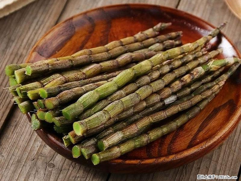 铁皮石斛的作用与功能主治 - 贵港生活资讯 - 贵港28生活网 gg.28life.net