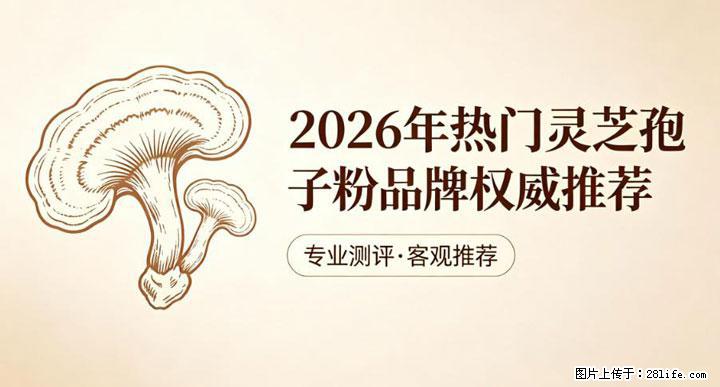 灵芝孢子粉含量越高越有效？2026 年七款热门品牌深度实测，肠胃敏感者避坑指南 - 贵港生活资讯 - 贵港28生活网 gg.28life.net
